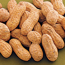 In-shell Peanuts Jumbo Roasted Raw