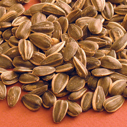 Sunflower Seeds Roasted In Shell